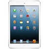 Apple iPad mini 16Gb Wi-Fi + Cellular белый - Юбилейный